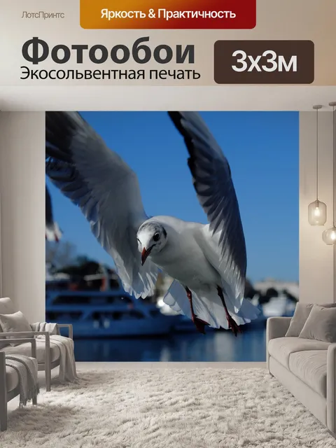 Фотообои Полет