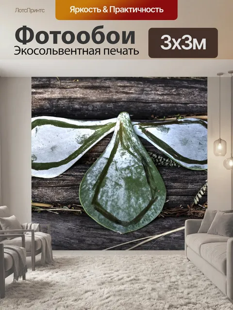 Фотообои Узор из листьев