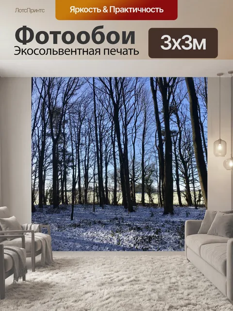 Фотообои Деревья