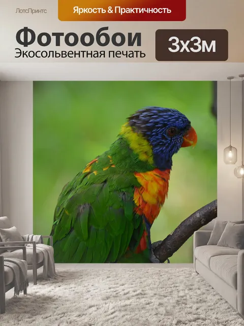 Фотообои Птица