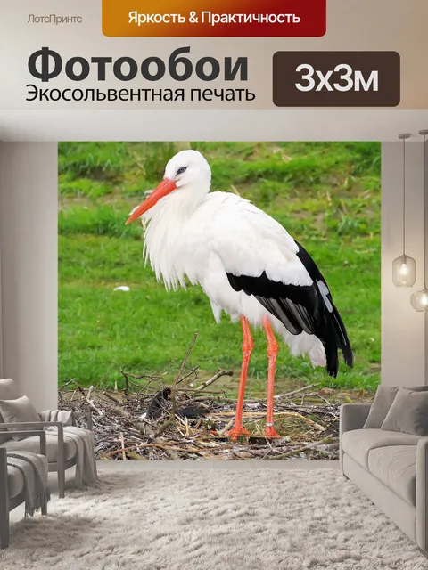 Фотообои Аист