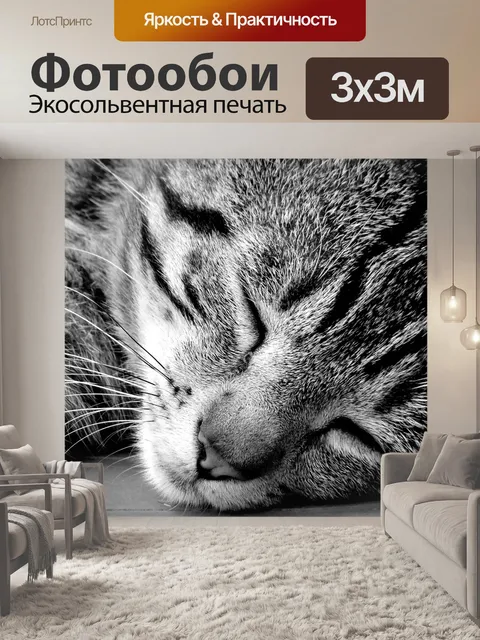 Фотообои Кошка