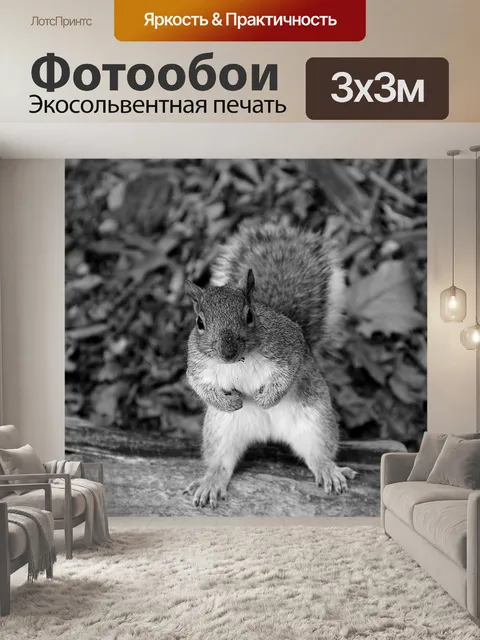 Фотообои Белка