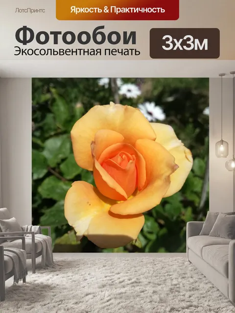 Фотообои Цветы