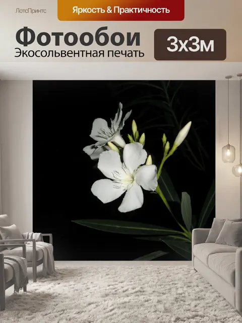 Фотообои Цветы