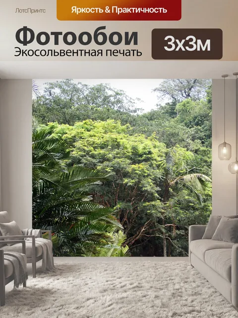 Фотообои свет на субтропической растительности