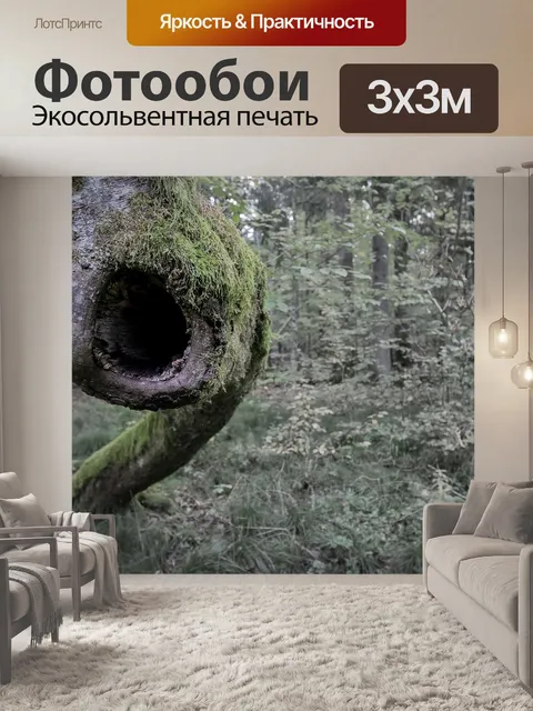 Фотообои Лес