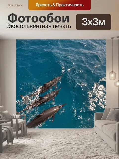 Фотообои Семья дельфинов