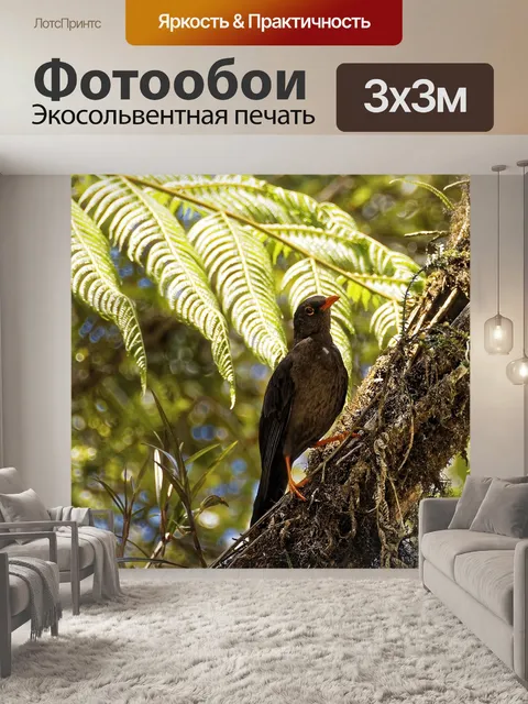 Фотообои Птица