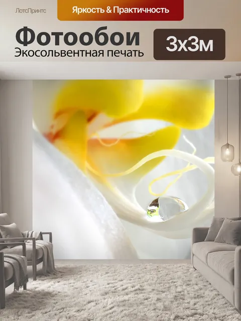 Фотообои Орхидея