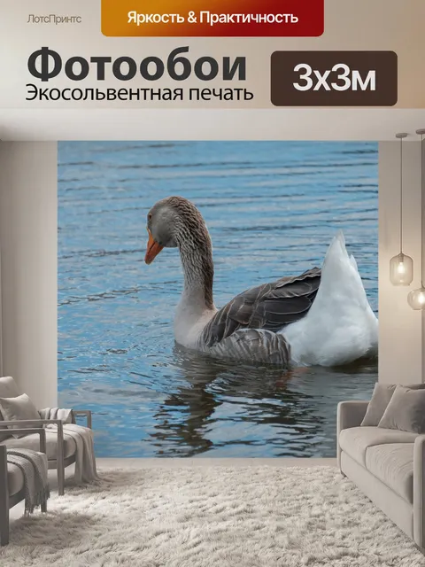 Фотообои Одинокий гусь на воде