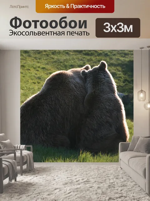 Фотообои Бурые медведи