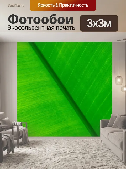 Фотообои Тропический лист фон