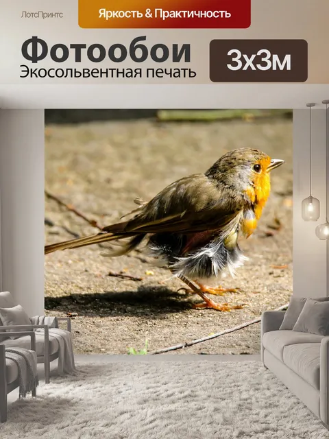 Фотообои Животные