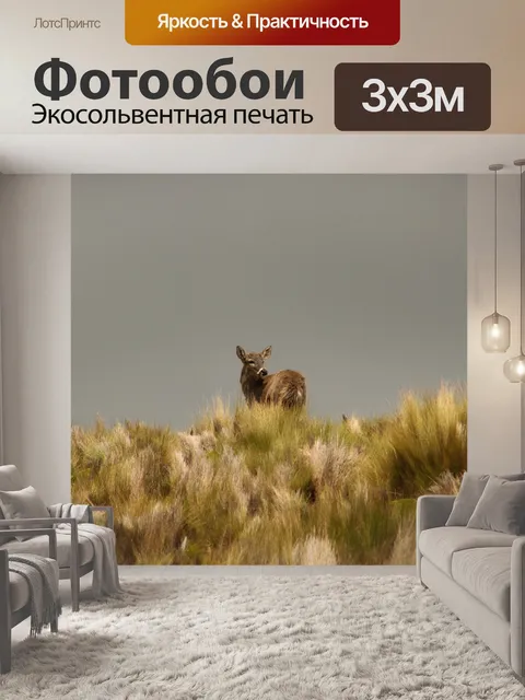Фотообои Дикий