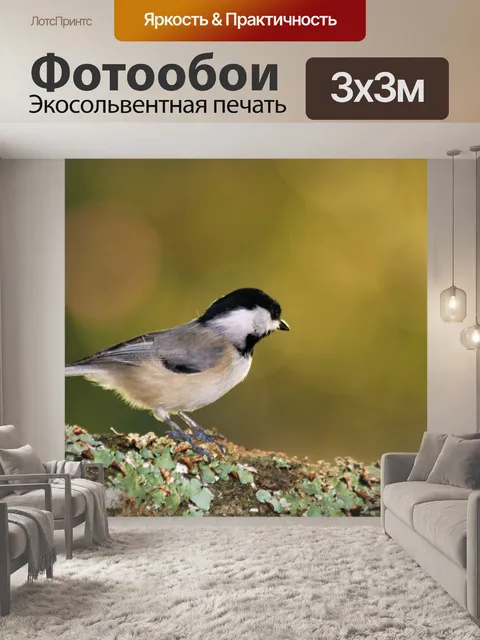 Фотообои Каролина синица и золотое боке
