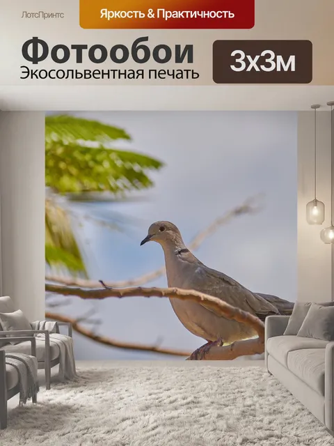 Фотообои Голубь