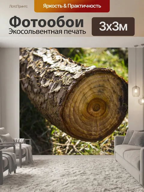 Фотообои Дерево