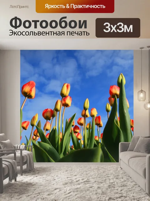 Фотообои Поле