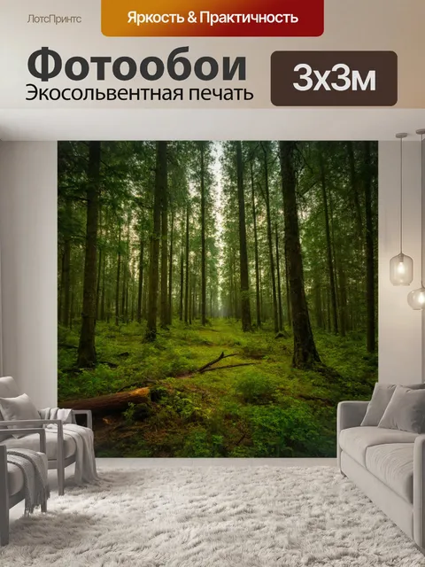 Фотообои отдаленные звуки дикого леса, создающие загадочное спокойствие