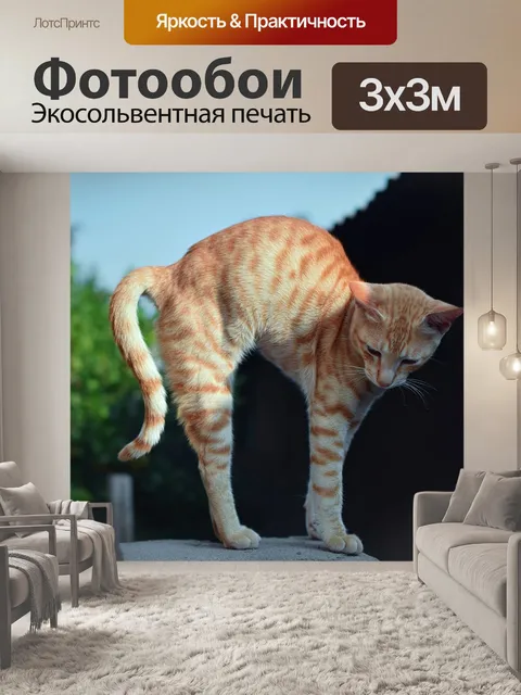 Фотообои Кошка