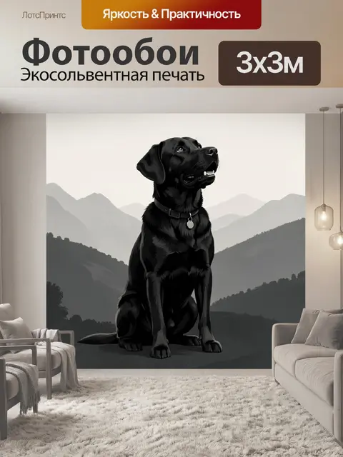 Фотообои Черный лабрадор в горах