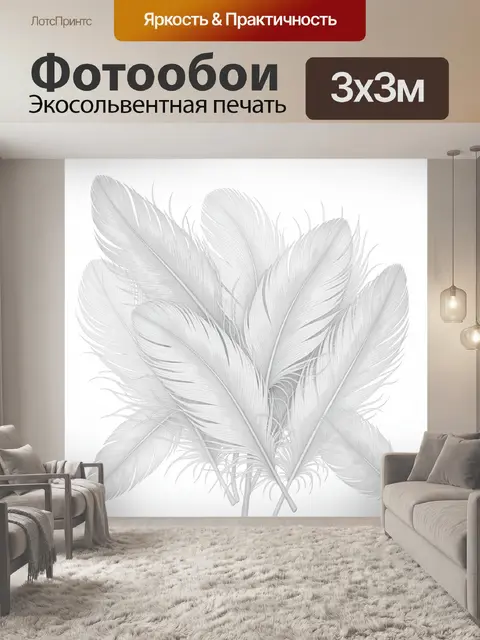 Фотообои Графичная композиция из перьев