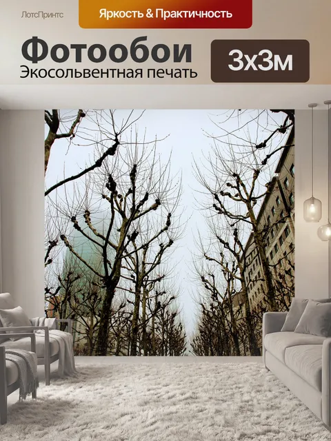 Фотообои Париж
