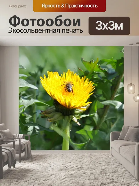 Фотообои Пчела