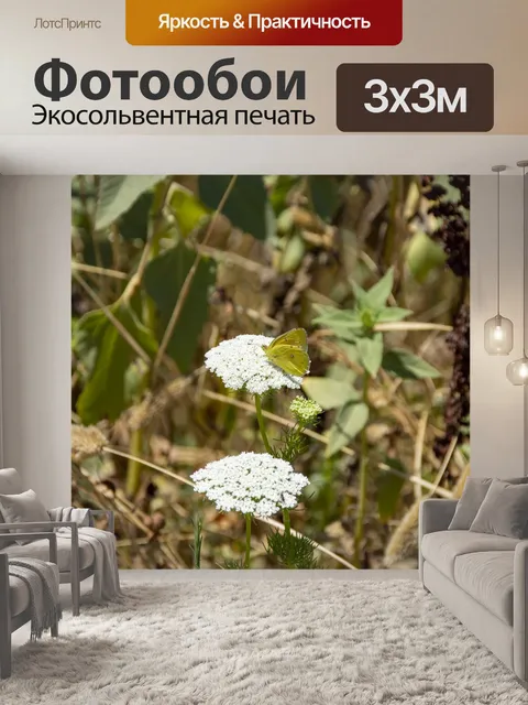 Фотообои Бабочка на цветах