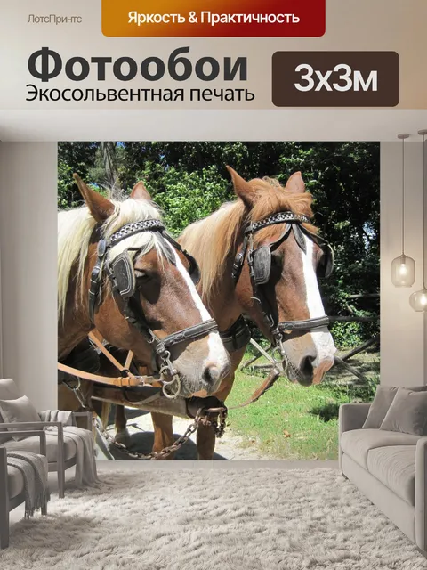 Фотообои Лошадь