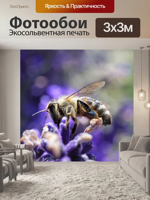 Фотообои Пчела