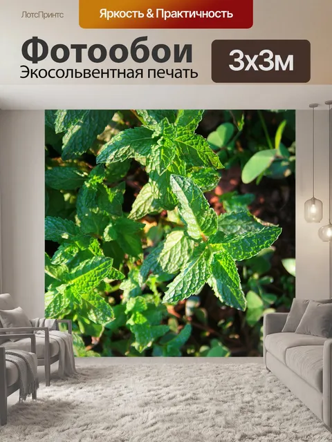 Фотообои листья мяты