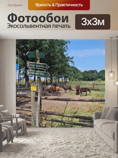 Фотообои Лошади