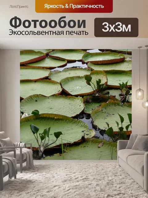 Фотообои Листья
