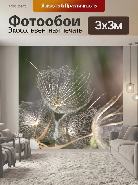 Фотообои Одуванчик