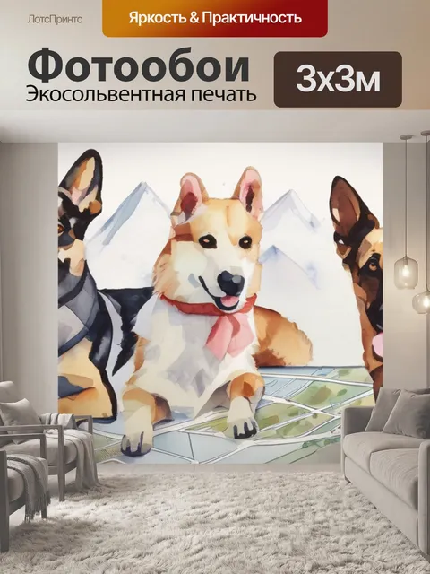 Фотообои собаки и карты