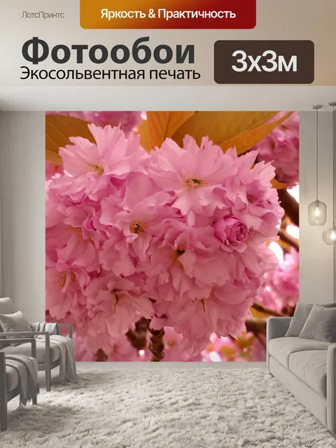Фотообои Cherry Blossom Tree