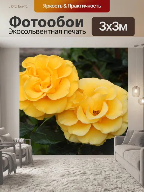 Фотообои Розы