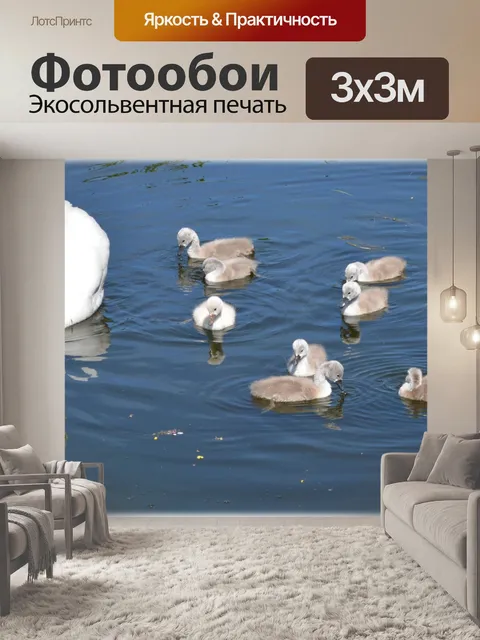 Фотообои Лебеди семьи 2