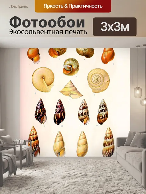 Фотообои Ракушка старинное искусство старый