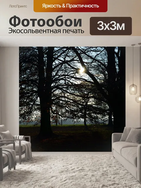 Фотообои деревья на закате
