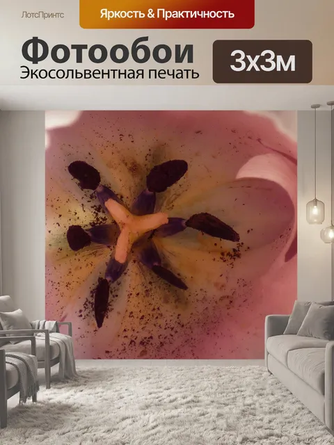 Фотообои Тюльпан