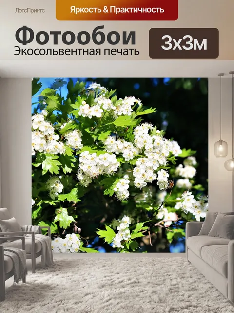 Фотообои Цветы