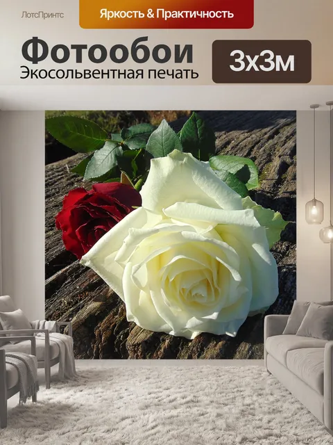 Фотообои Розы