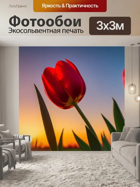 Фотообои тюльпаны на фоне заката
