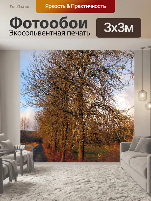 Фотообои Деревья вдоль Country Lane