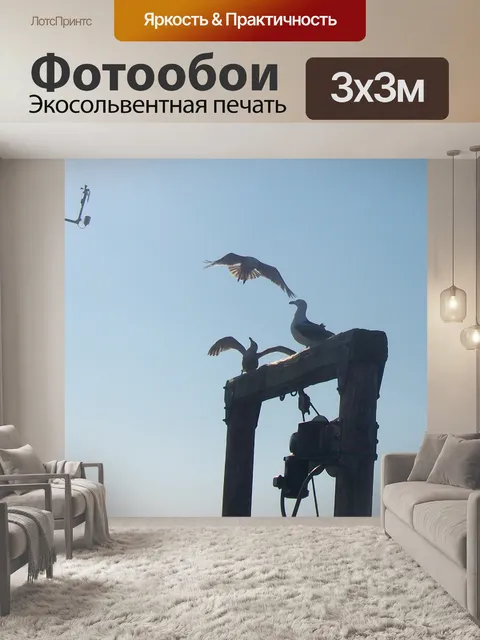 Фотообои Чайки