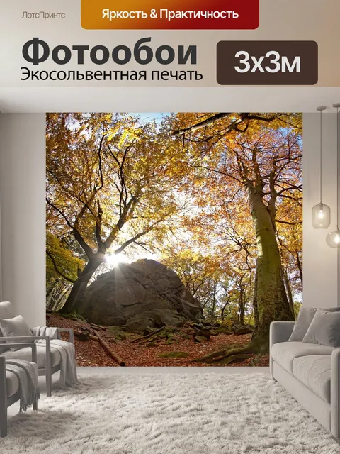 Фотообои Лес