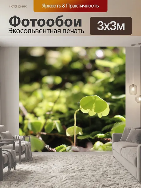 Фотообои Растения